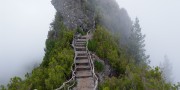 世界排球联赛青年才俊榜单正式发出，世界排球联赛男子