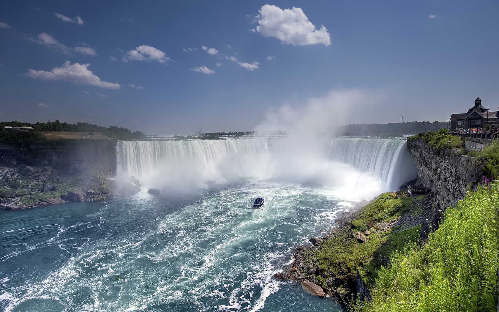 世界拳击锦标赛赛场志愿者纪念册发行,世界拳击协会wba